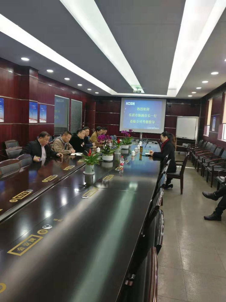 乐清市副市长陈微燕一行莅临五五世纪电气集团考察调研_五五世纪新闻_新闻资讯_五五世纪电气集团