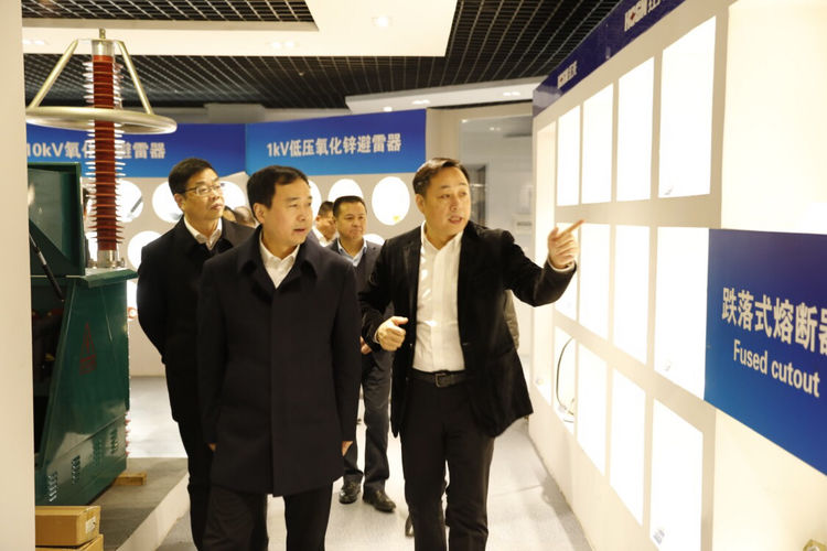 温州市委常委、组织部长马永良莅临五五世纪电气集团调研指导