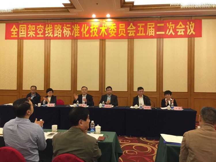 五五世纪电气集团应邀加入天下倾轧线路标准化手艺委员会五届二次聚会