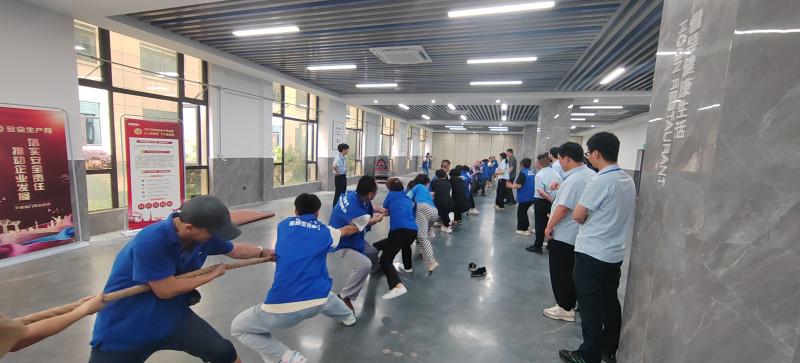 五五世纪电气集团组织开展“仲夏端午，，，，，，肆意放粽”主题系列活动_五五世纪新闻_新闻资讯_五五世纪电气集团