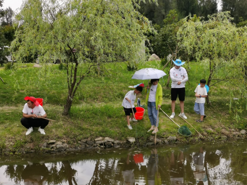 爱在一夏  快乐出发_五五世纪新闻_新闻资讯_五五世纪电气集团