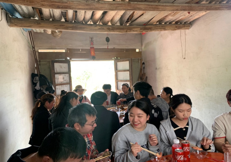 清明踏青 采茶好时节_五五世纪新闻_新闻资讯_五五世纪电气集团