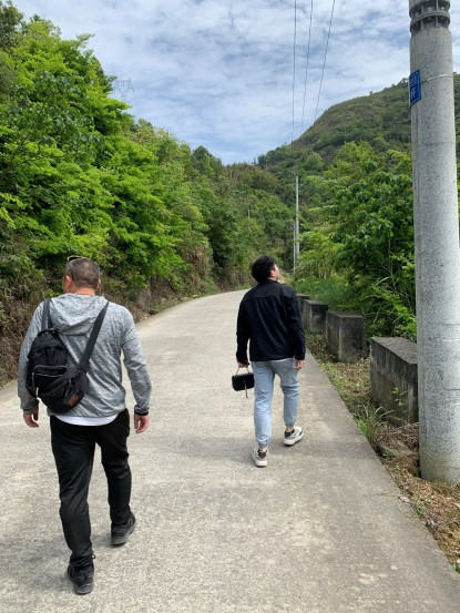 清明踏青 采茶好时节_五五世纪新闻_新闻资讯_五五世纪电气集团